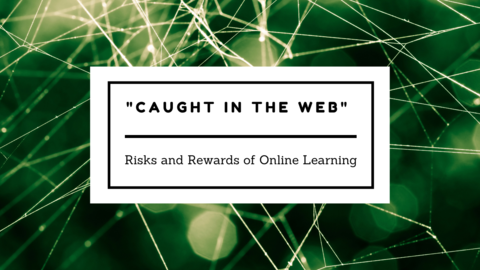 spiderweb sunlit against a green backdrop