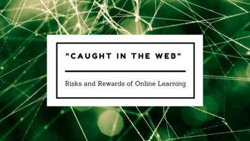 spiderweb sunlit against a green backdrop